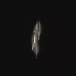 Инсталляция Бра Tape